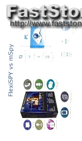 flexispy alternative